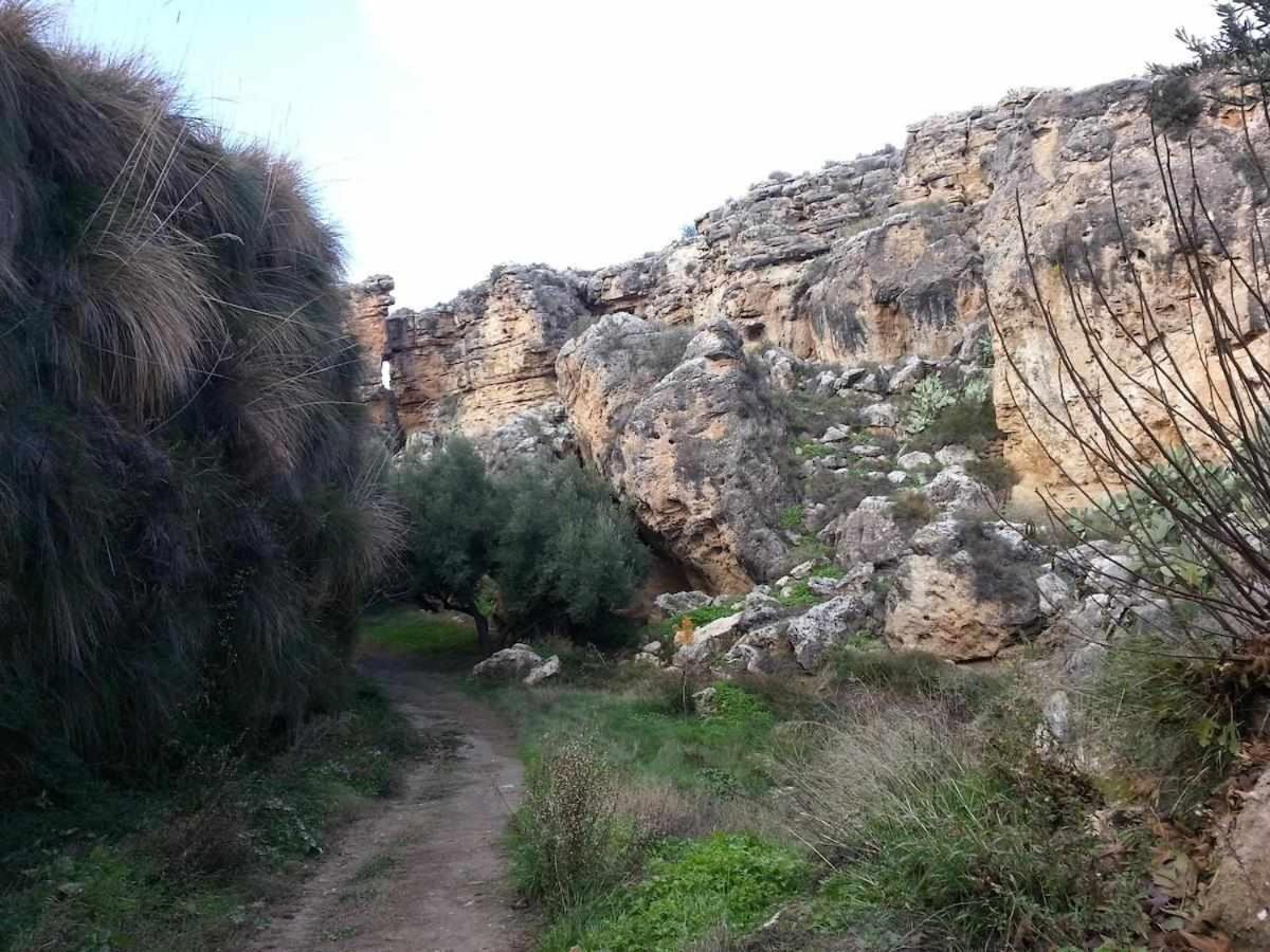 Hábitat Troglodita Almagruz Purullena Exterior foto